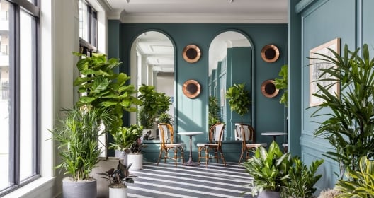 The lobby area of The Cottonwood Hotel filled with tropical plants.