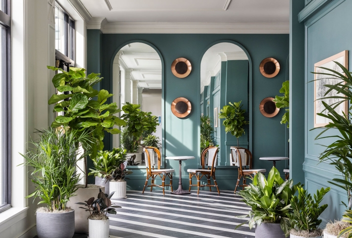 The lobby area of The Cottonwood Hotel filled with tropical plants.