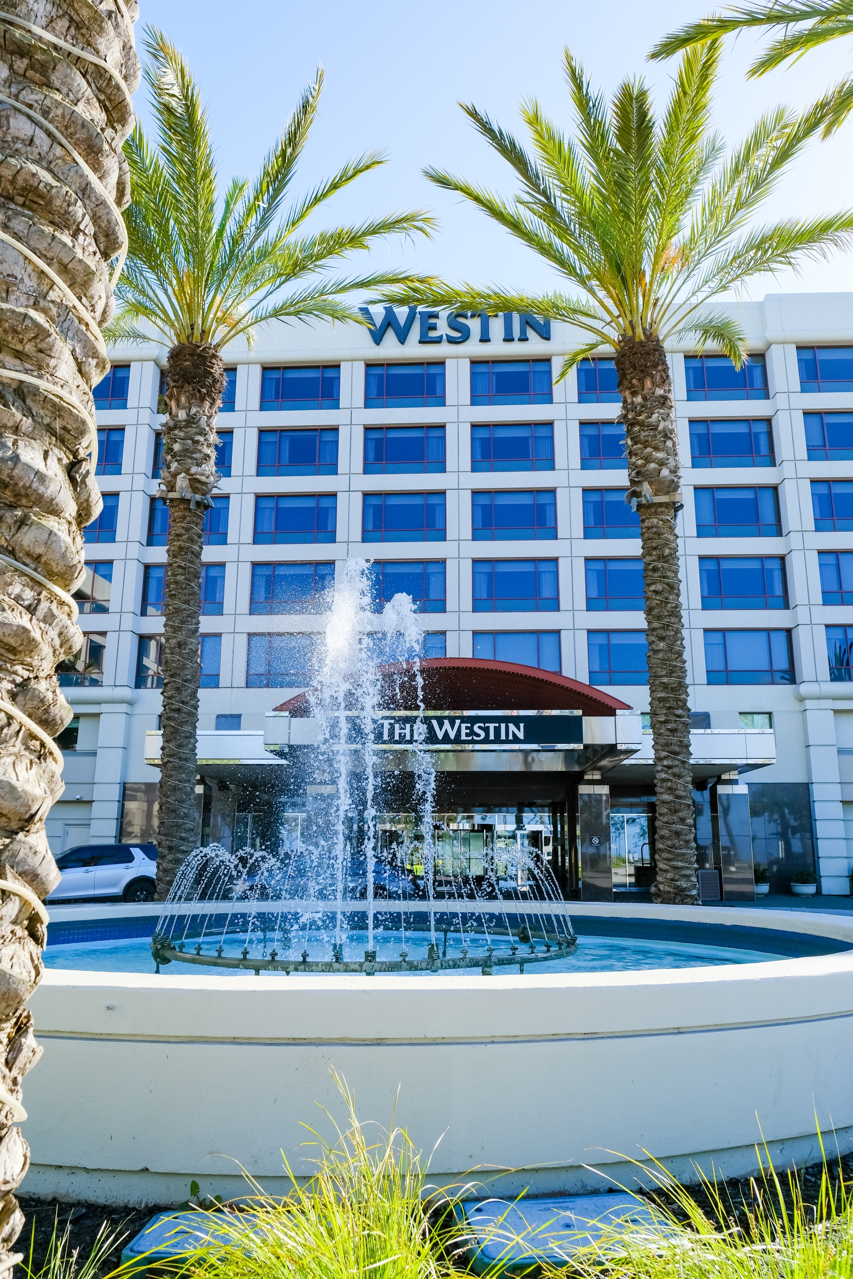 Outside of the Westin hotel with palm trees and a fountain outside