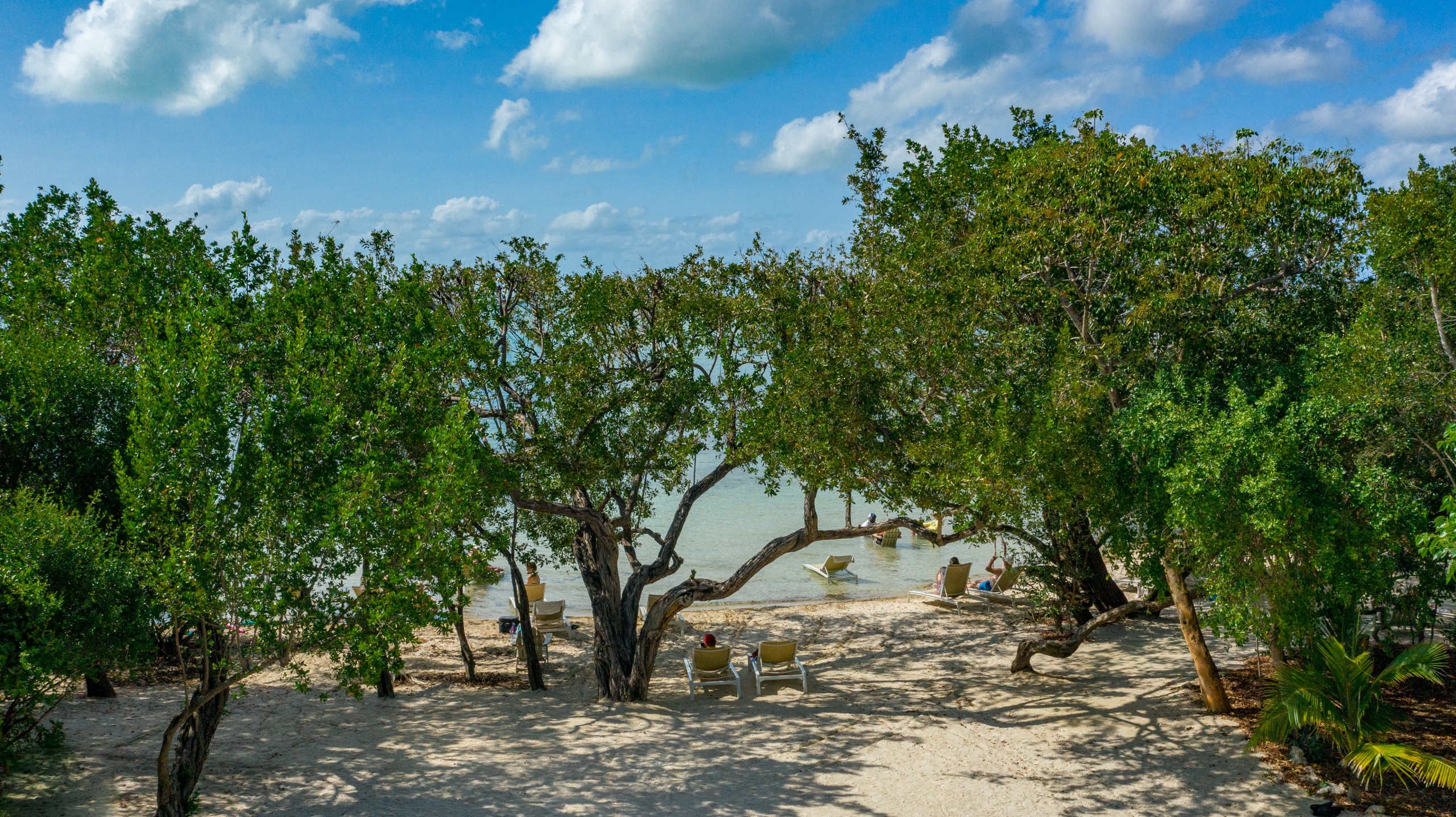 An aerial view of the beach area at Bakers Caye. The beach has lots of large green trees
