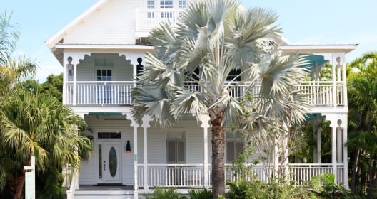 exterior of Winslow's Bungalows with colourful palm trees out front